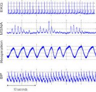 Biosignal Analyser